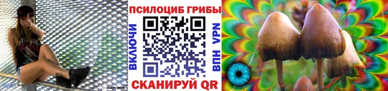 Купить  Иркутск  Псилоцибиновые грибы GOLDEN TEACHER 